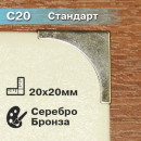 Стандарт С20